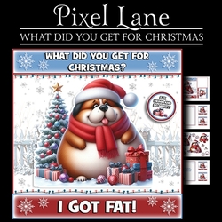 What Did You Get For Christmas?