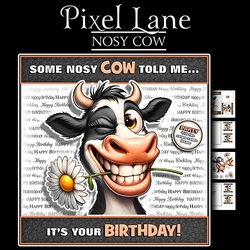 Nosy Cow!