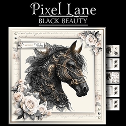 Black Beauty
