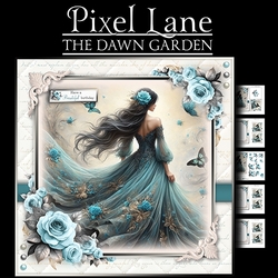 The Dawn Garden