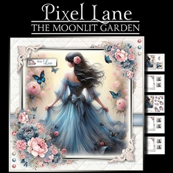 The Moonlit Garden