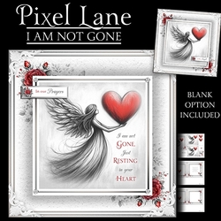 I am Not Gone