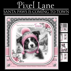 Santa Paws Is Coming To Town (Border Collie Female)