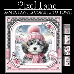 Santa Paws Is Coming To Town (Female Cockapoo)