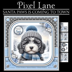 Santa Paws Is Coming To Town (Male Cockapoo))