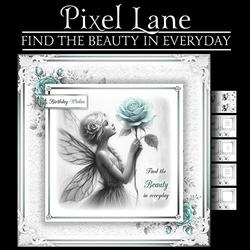 Find The Beauty In Everyday