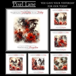 You Gave Your Yesterday For Our Today