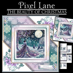 The Beauty Of Christmas