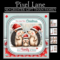 No Greater Gift Than Family