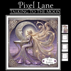 Talking To The Moon