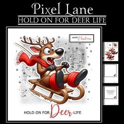 Hold On For Deer Life!