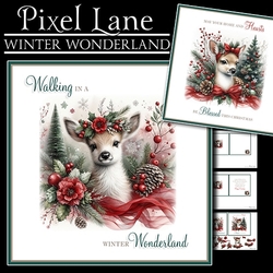 Winter Wonderland