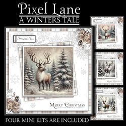 A Winters Tale