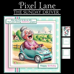 The Sunday Driver (Female)