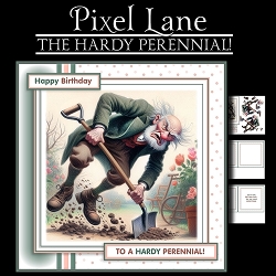 The Hardy Perennial 