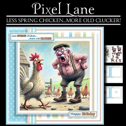 Less Spring Chicken...More Old Clucker!