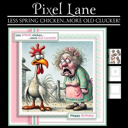 Less Spring Chicken...More Old Clucker! (Female)