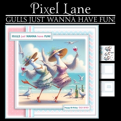 Gulls Just Wanna Have Fun!