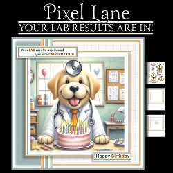Your Lab Results Are In!