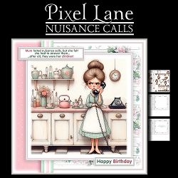 Nuisance Calls! (Feamle)