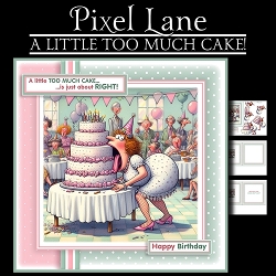A Little Too Much Cake!