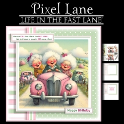 Life In The Fast Lane (Female)
