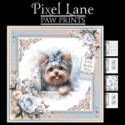 Paw Prints (Yorkie)