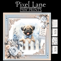 Paw Prints (Pug)