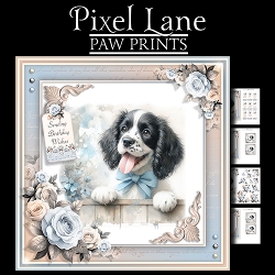 Paw Prints (Springer Spaniel)