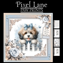 Paw Prints (Cockapoo)
