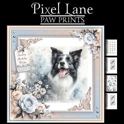 Paw Prints (Border Collie)