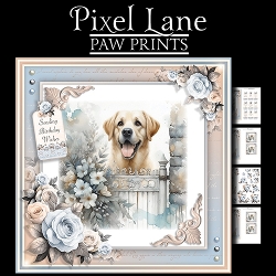 Paw Prints (Labrador)