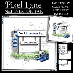 No.1 Everton Fan