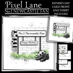No.1 Newcastle Fan