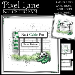 No.1 Celtic Fan