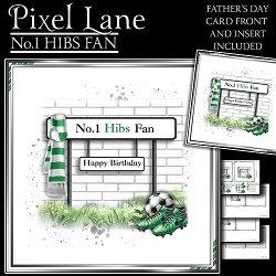 No.1 Hibs Fan
