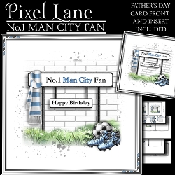 No.1 Man City Fan