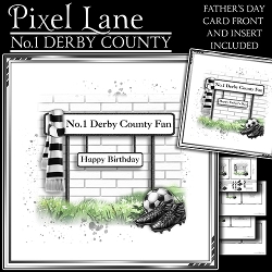 No.1 Derby County Fan