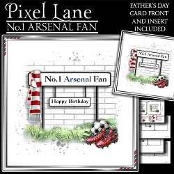 No.1 Arsenal Fan