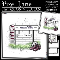 No.1 Aston Villa Fan
