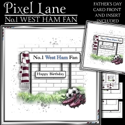 No.1 West Ham Fan