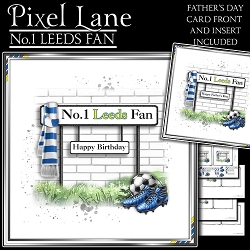cup1370176_1443 - No.1 Leeds Fan
