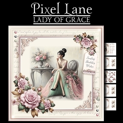 Lady Of Grace