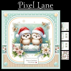 Have A Cracking Cristmas!