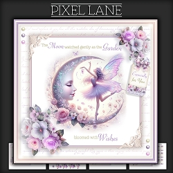 Fairy And Moonlight Wishes