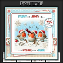 A Not So Silent Night!