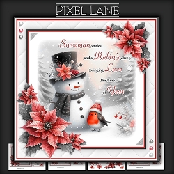 Snowman Smiles And A Robins Cheer