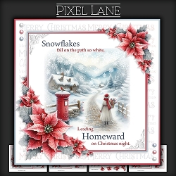 SNOWFLAKES FALL ON THE PATH SO WHITE