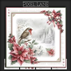 Through Icy Air The Robin Flies (Blank Version)