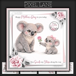 You Guide My Steps Along The Way (Koala)